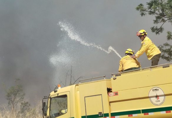 Bombeiros controlam incêndio em área de mata na UnB