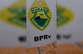 Motorista é preso com quase 3 mil ampolas de Tirzepatida na PR-323, em Londrina