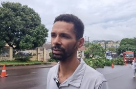 “Ouvi o barulho de madrugada e a árvore caiu em três partes”, conta morador do Neva, em Cascavel