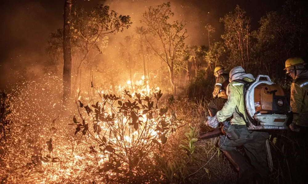Imagem referente a Ibama extingue 229 incêndios no Amazonas e segue no combate ao fogo