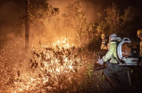 Ibama extingue 229 incêndios no Amazonas e segue no combate ao fogo