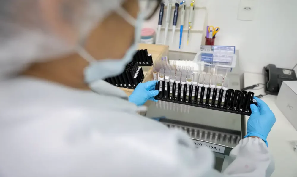 Imagem referente a Malária: Anvisa autoriza teste em humanos de vacina 100% brasileira