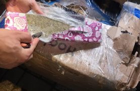 Quase uma tonelada de maconha é encontrada escondida em carga de caminhão em Cascavel