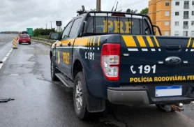 Homem morre atropelado ao tentar atravessar rodovia BR-277 