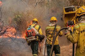 Governo ajudou assim que Amazonas decretou emergência, diz ministro