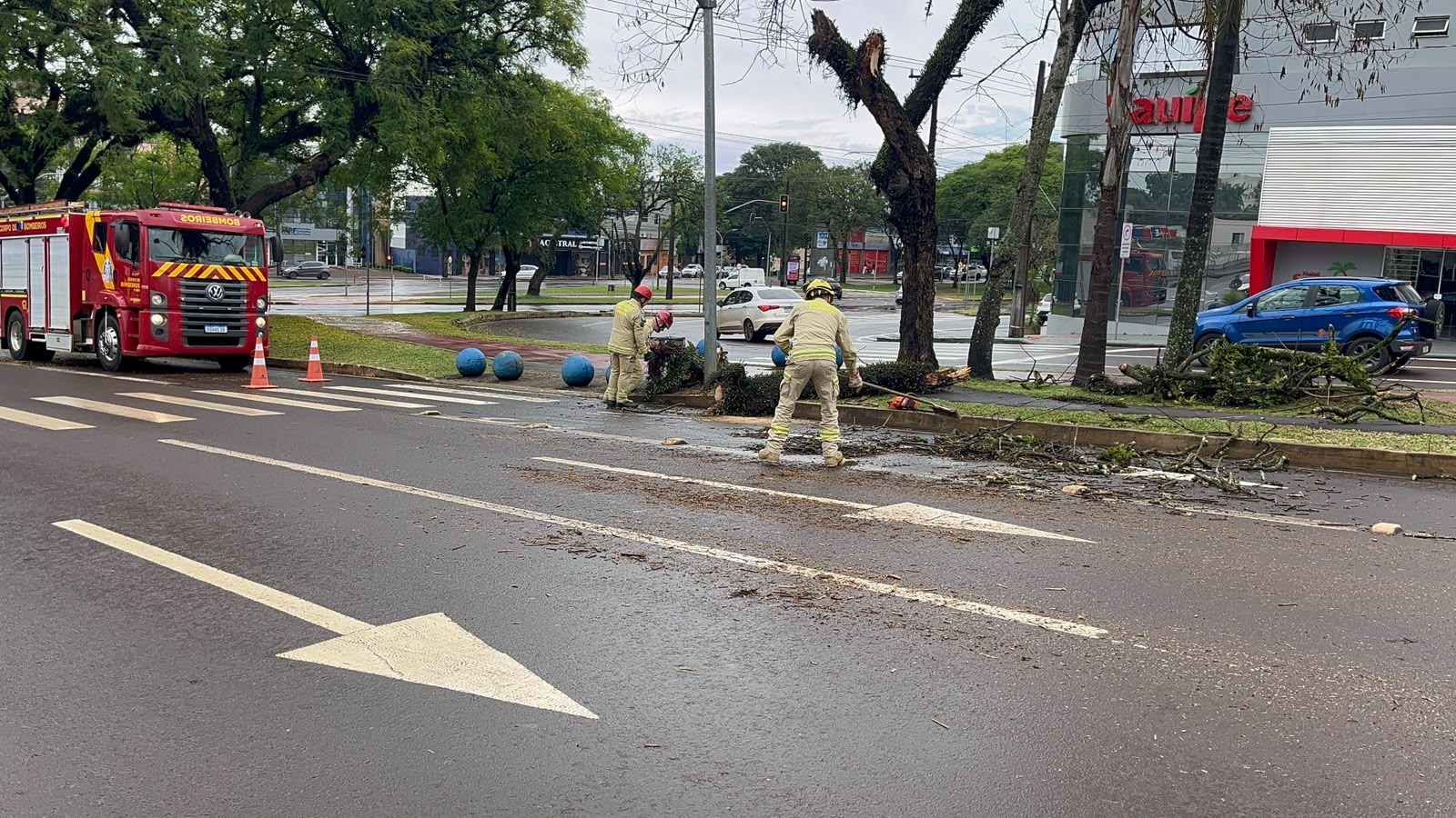 Galho cai de árvore na Avenida Barão do Rio Branco e Bombeiros são acionados