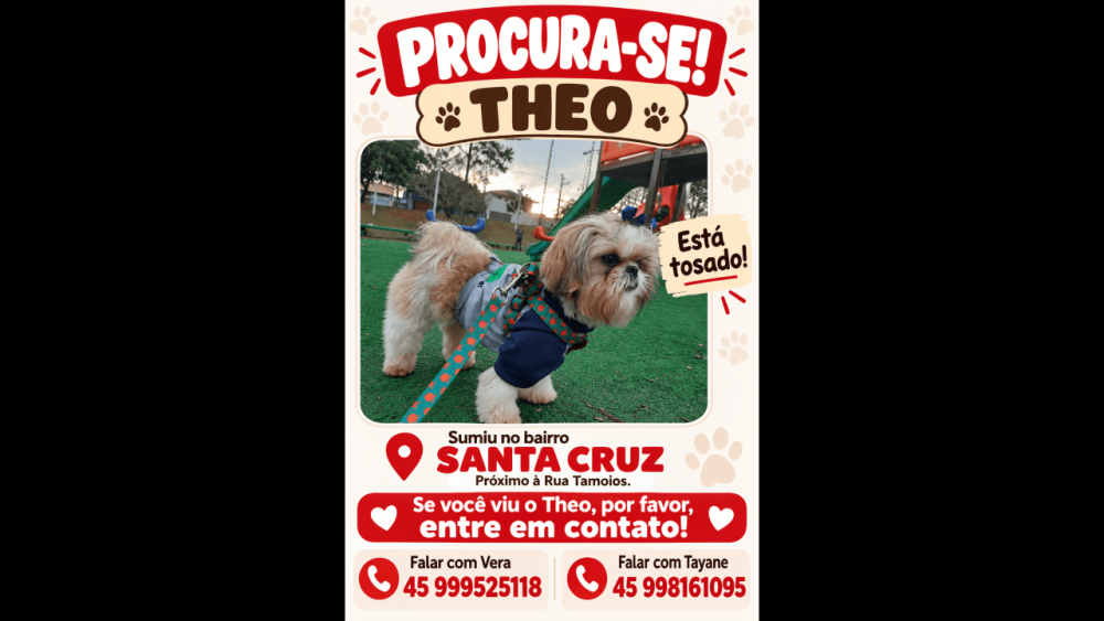 Imagem referente a Cachorro Theo desapareceu no bairro Santa Cruz