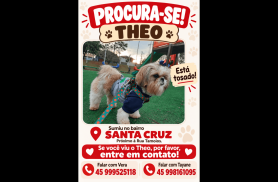Cachorro Theo desapareceu no bairro Santa Cruz