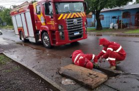 Bombeiros resgatam cachorro que caiu em bueiro no bairro Floresta, em Cascavel