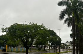 Cascavel tem previsão de mais de 40 mm de chuva nesta segunda-feira; volume deve aumentar na terça