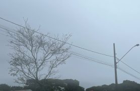 Chuva acumulada em outubro já supera a média histórica em cidades do Paraná, aponta Simepar