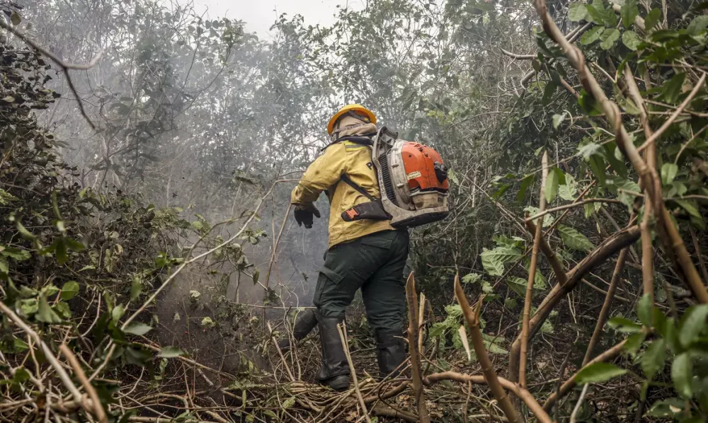 Imagem referente a Incêdios no Amazonas resultam de ação humana intencional, diz ministro