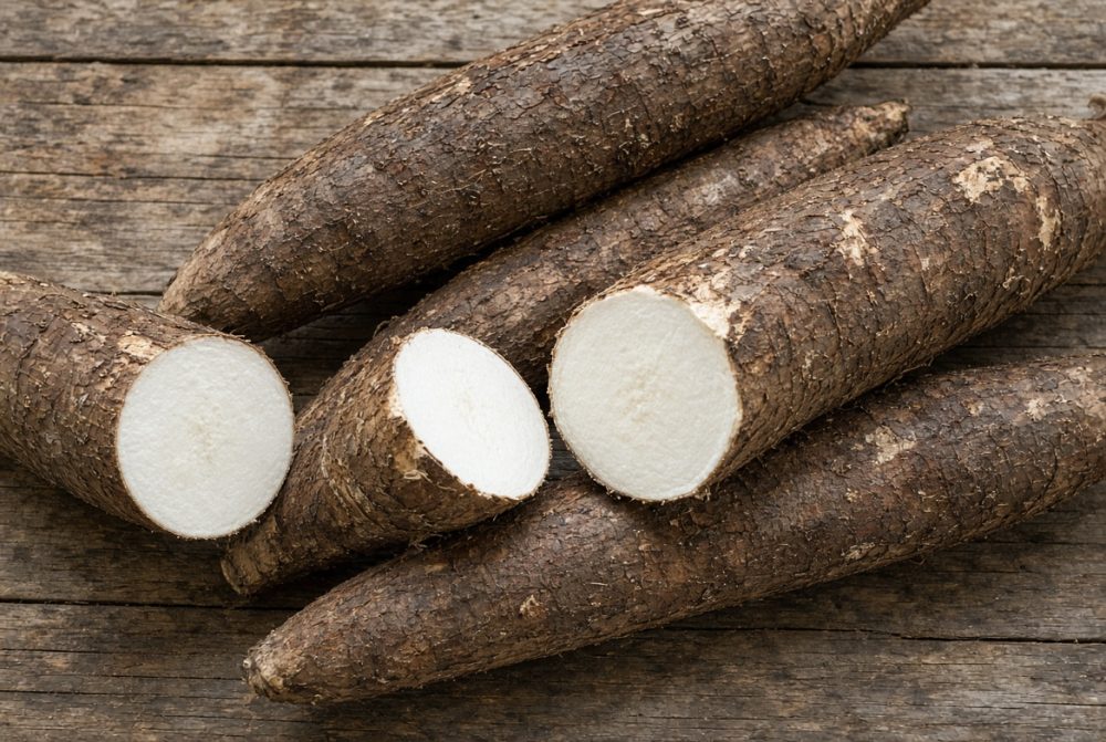 Imagem referente a Chuvas reduzem esmagamento da mandioca e dificultam colheita no Brasil