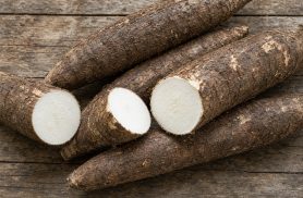 Chuvas reduzem esmagamento da mandioca e dificultam colheita no Brasil