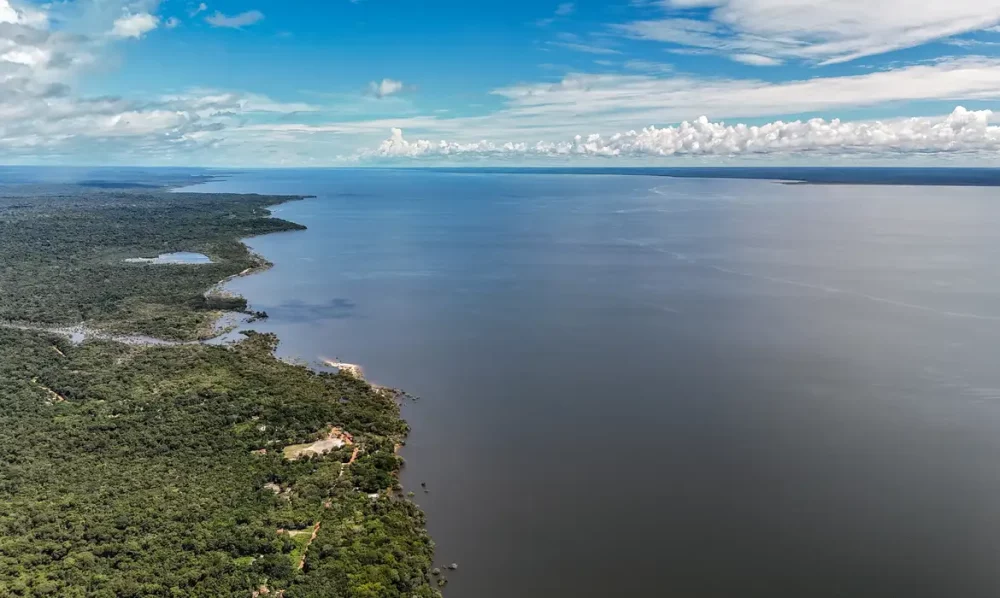 Imagem referente a Veja os planos de governo de Flávio e Lula para meio ambiente e clima