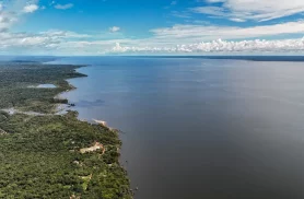 Veja os planos de governo de Flávio e Lula para meio ambiente e clima Veja os planos de governo de Flávio e Lula para meio ambiente e clima