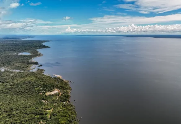 Veja os planos de governo de Flávio e Lula para meio ambiente e clima