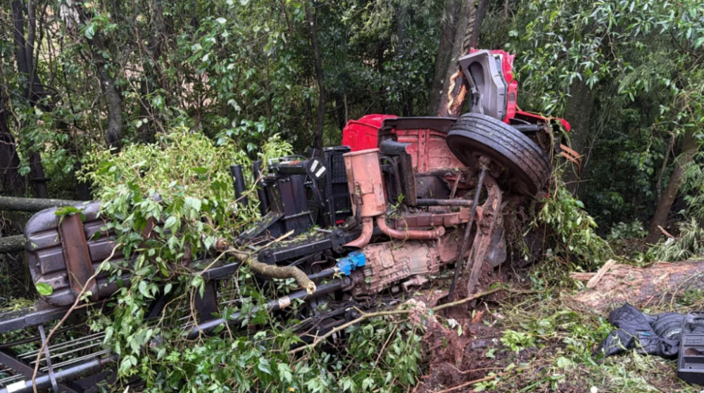 Imagem referente a Motorista morre após caminhão sair da pista e bater em árvores na PR-182, em Ampére