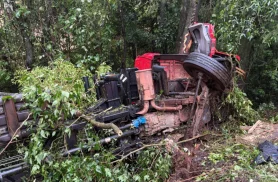 Motorista morre após caminhão sair da pista e bater em árvores na PR-182, em Ampére