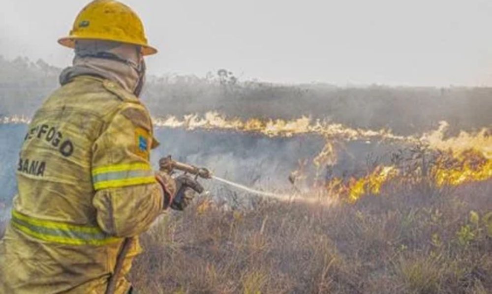 Governo investiga se há organização por trás dos incêndios no Amazonas Imagem referente a Governo investiga se há organização por trás dos incêndios no Amazonas