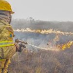 Imagem relativa a Governo investiga se há organização por trás dos incêndios no Amazonas