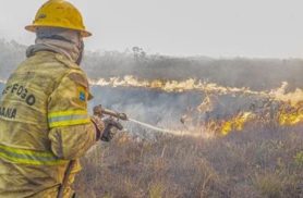 Governo investiga se há organização por trás dos incêndios no Amazonas