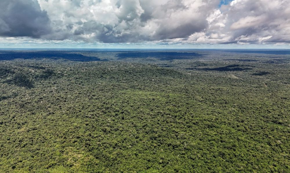 MapBiomas: Amazônia registra menor nível de desmatamento em 41 anos Imagem referente a MapBiomas: Amazônia registra menor nível de desmatamento em 41 anos
