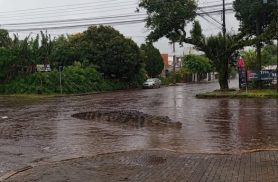 É fake a foto que mostra jacaré nas ruas de Cascavel após chuva forte