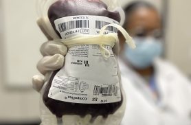 Saúde aprova protocolo para tratar crianças com hemofilia A Saúde aprova protocolo para tratar crianças com hemofilia A
