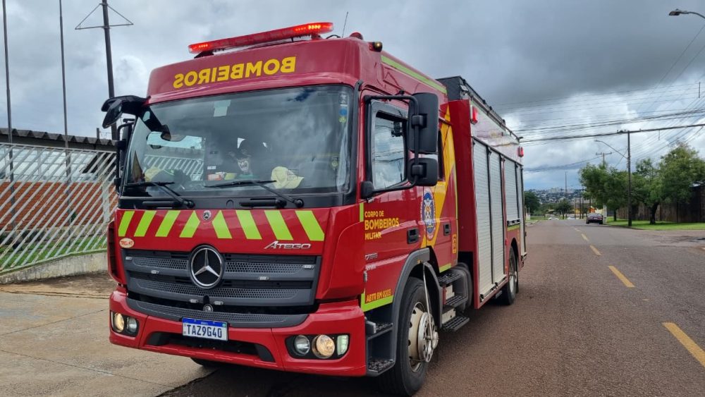 Bombeiros capturam cobra em estacionamento do Aeroporto de Cascavel Imagem referente a Bombeiros capturam cobra em estacionamento do Aeroporto de Cascavel