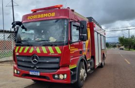 Bombeiros capturam cobra em estacionamento do Aeroporto de Cascavel Bombeiros capturam cobra em estacionamento do Aeroporto de Cascavel