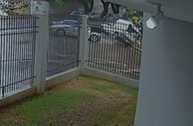 Imagem de câmera flagra Fiat Strada cruzando preferencial antes de acidente com Civic