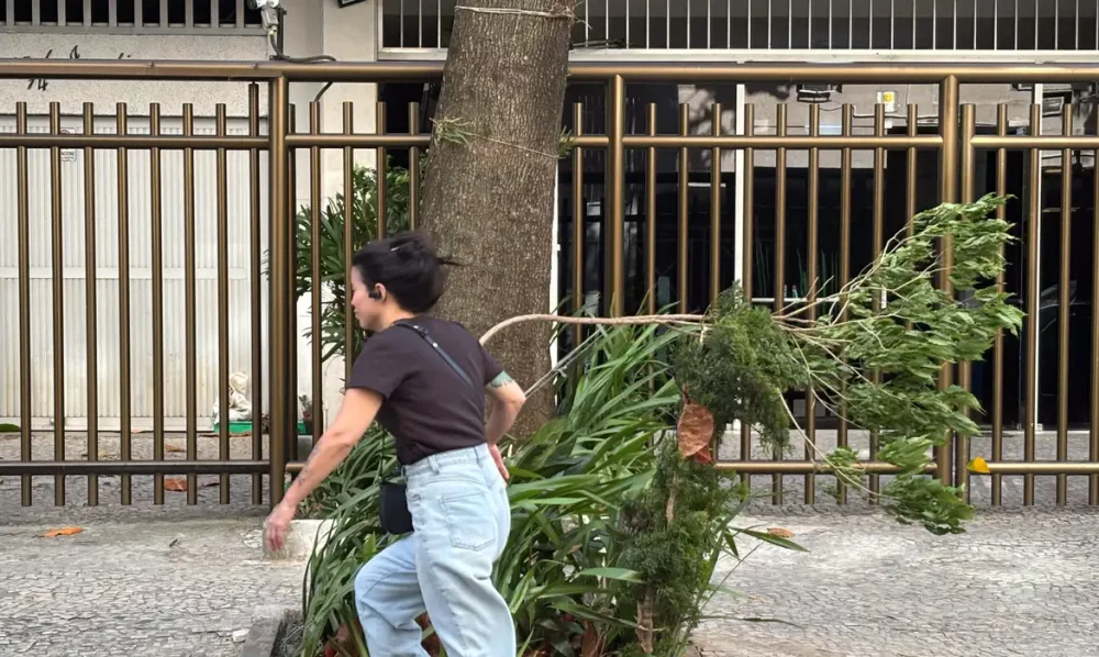 Imagem referente a Formação de ciclone próximo à Região Sul traz ventos costeiros
