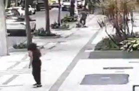 Professora aposentada da UFRJ é baleada em assalto na zona sul do Rio