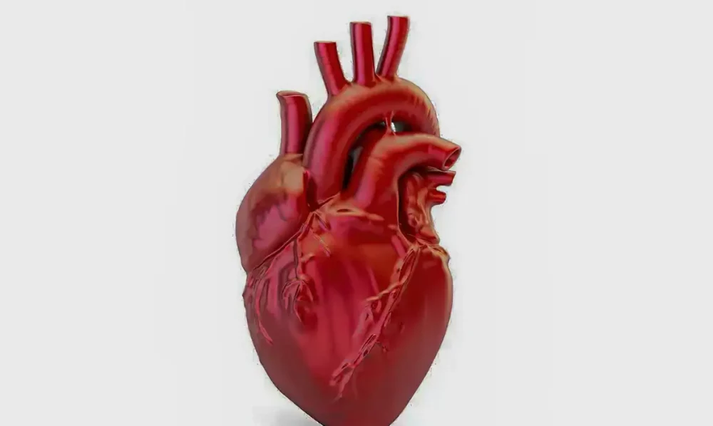 Imagem referente a A cada 72 segundos, uma pessoa morre por doença cardiovascular no país