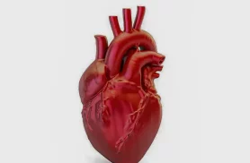 A cada 72 segundos, uma pessoa morre por doença cardiovascular no país