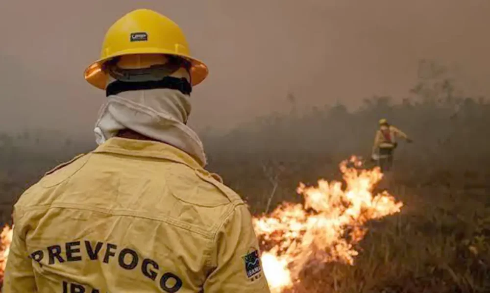 Imagem referente a Focos de incêndio no Amazonas diminuem após ação de força-tarefa