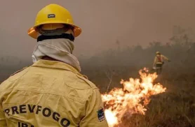 Focos de incêndio no Amazonas diminuem após ação de força-tarefa