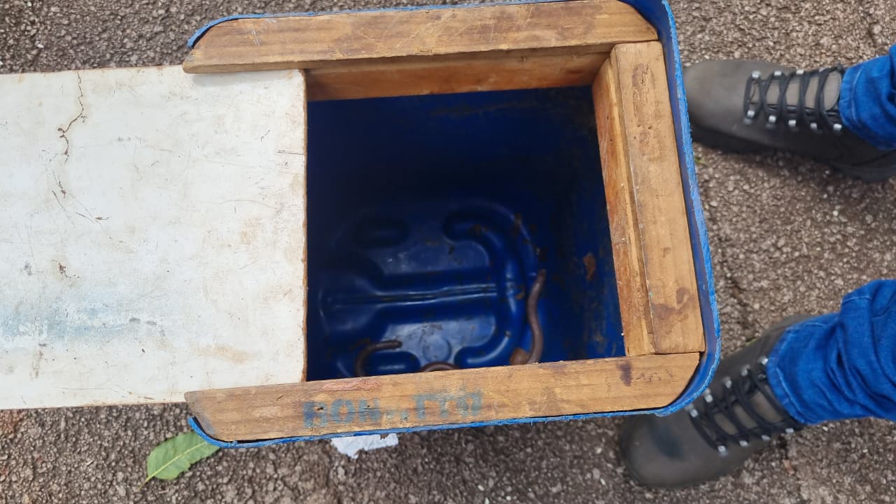 Cobra-cega é encontrada próximo à piscina em residência no Santa Cruz