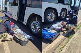 PRF apreende 40kg de maconha, além de celulares e medicamentos em ônibus na BR-277