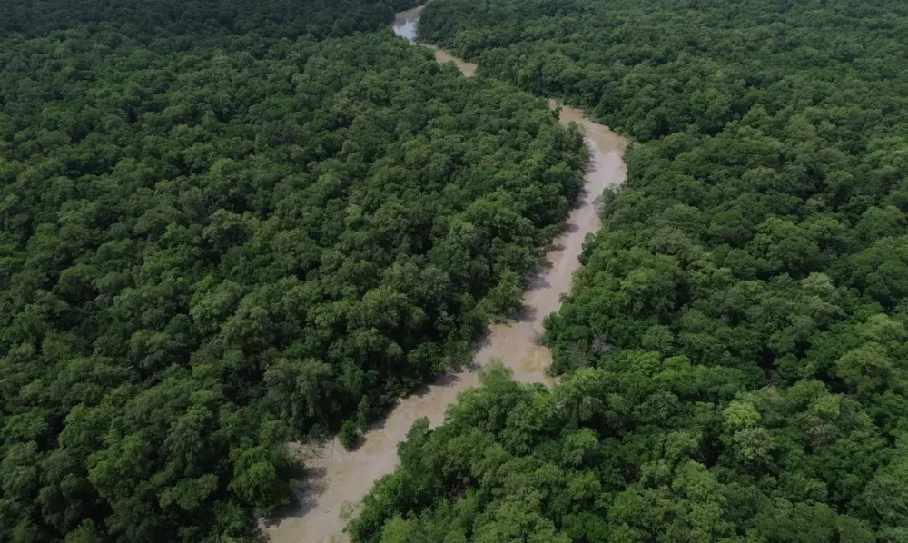 Imagem referente a Desmatamento cai 41,8% na Amazônia e 23,8% no Cerrado em um ano