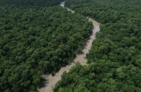 Desmatamento cai 41,8% na Amazônia e 23,8% no Cerrado em um ano Desmatamento cai 41,8% na Amazônia e 23,8% no Cerrado em um ano