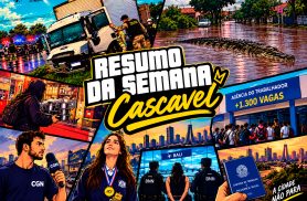 Perseguições, jacarés e histórias que marcaram a semana em Cascavel