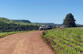 Homem é encontrado morto dentro de esterqueira em fazenda na área rural de Cascavel