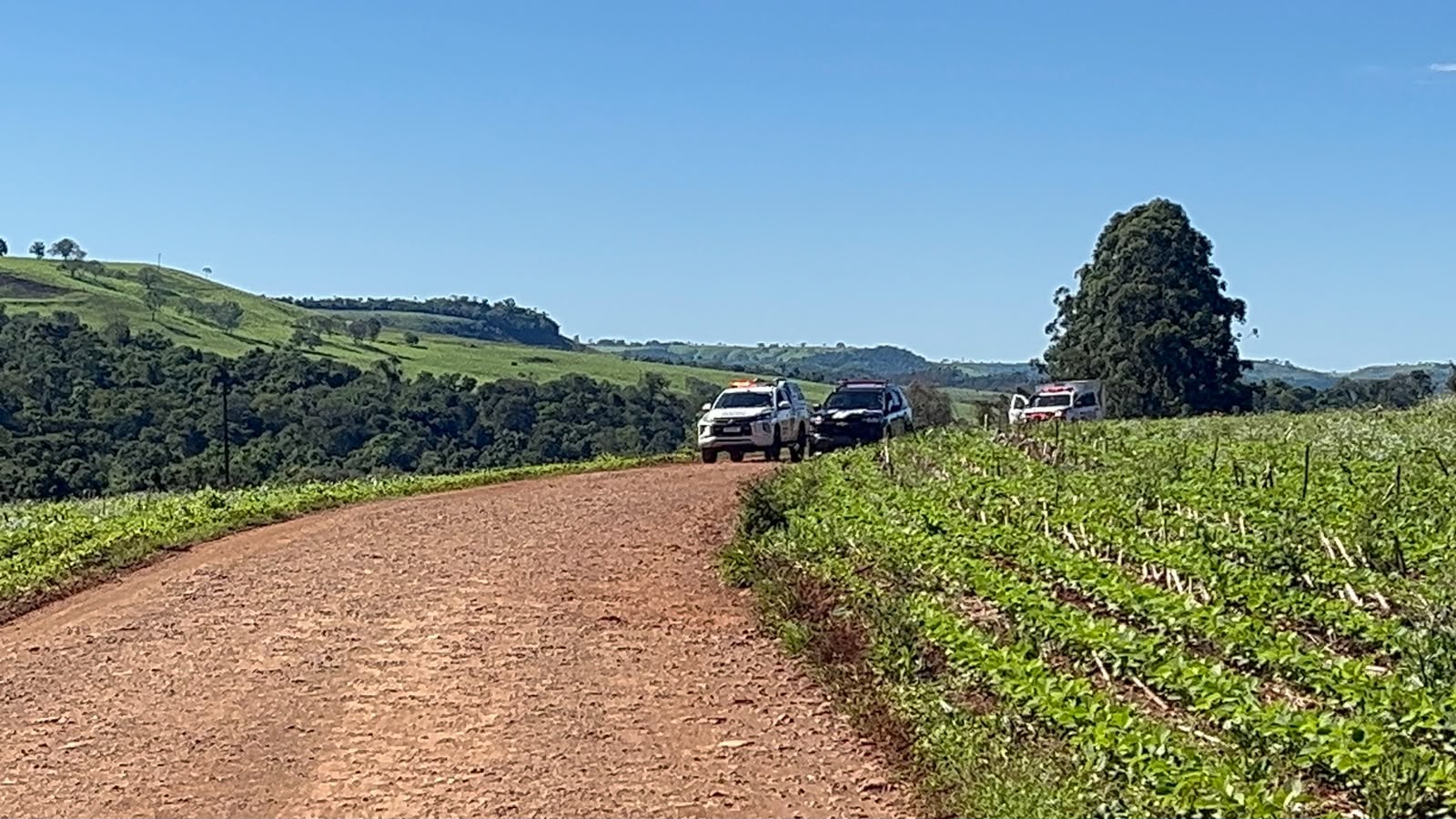 Homem é encontrado morto dentro de esterqueira em fazenda na área rural de Cascavel