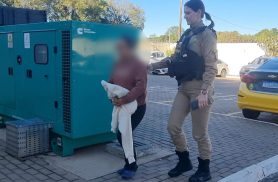Sogra é presa pela Polícia Militar após agredir a nora