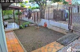 Outro ângulo mostra acidente que fez van da saúde tombar em Cascavel