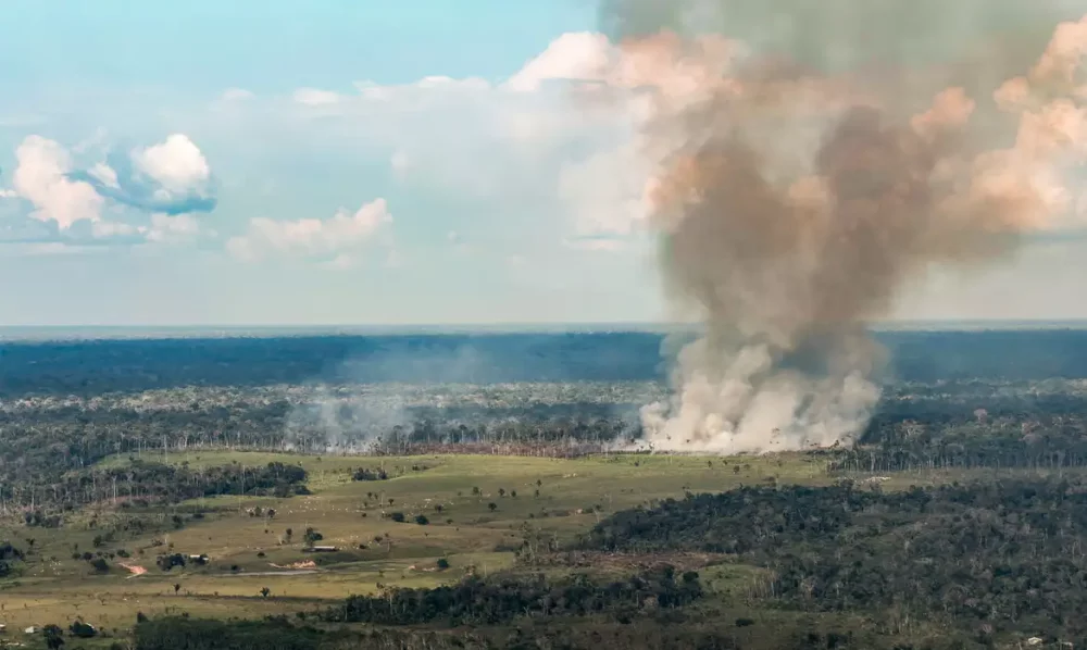 Incêndios avançam sobre o oeste do Pará e deixam ar insalubre Imagem referente a Incêndios avançam sobre o oeste do Pará e deixam ar insalubre