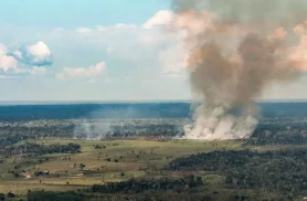 Incêndios avançam sobre o oeste do Pará e deixam ar insalubre