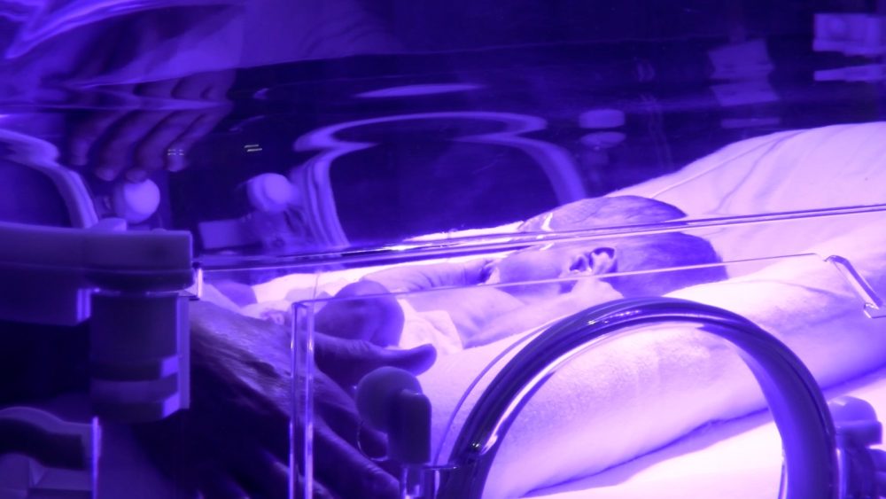Imagem referente a HUOP promove III Encontro de Neonatologia com foco no cuidado aos prematuros após a alta hospitalar